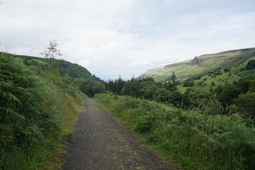 Fototapeta na wymiar Wald-Landschaft im Glenariff National Park / Nordirland 