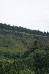 Wald-Landschaft im Glenariff National Park / Nordirland 