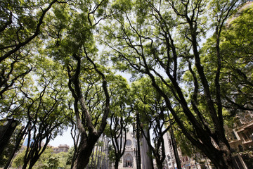 square of se