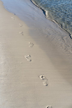 footprints in the sand on the beach