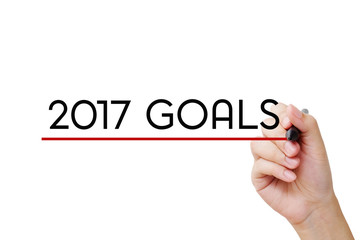 Hand holding pan over 2017 goals on white background