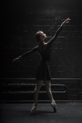 Graceful dancer posing in the dark room