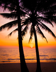 Fototapeta na wymiar sunset landscape. beach sunset. sunset on the beach