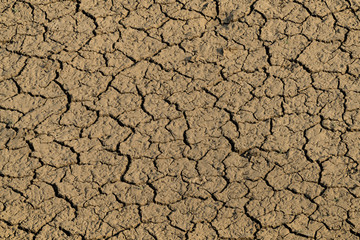 Cracked and parched earth in a dried lake bed, Pushkar, Rajasthan, India
