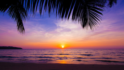 Naklejka na ściany i meble sunset landscape. beach sunset. palm trees silhouette on sunset