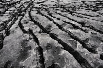 Coastal limestone rock formations, The Burren Region, Clare County, Ireland
