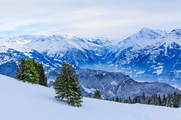 winter landscape.  winter background. mountains at winter