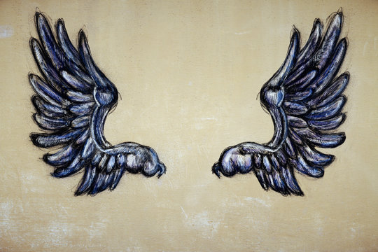 Drawn wings