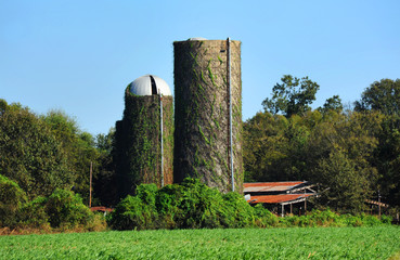 Agriculture in Decline © bonniemarie