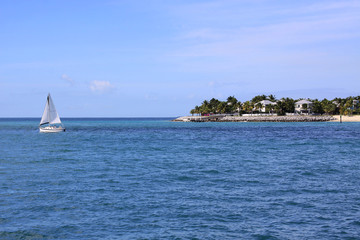 Fototapeta premium sailboat off coast of island