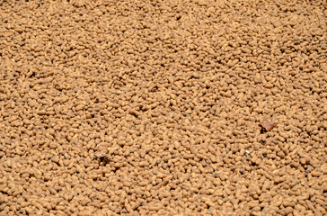 Raw peanuts in shell placed to dry outside of a farmer house