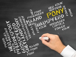 Pony (Pferd)
