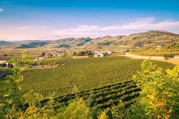 View of Soave (Italy) surrounded by vineyards. - 127764664