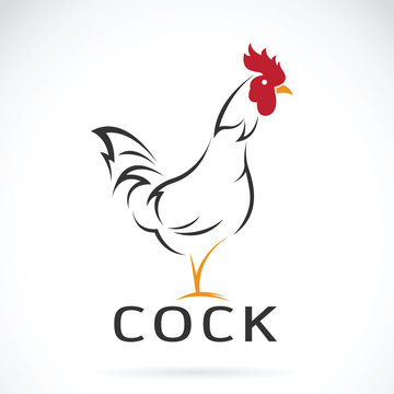 Vector of a cock design on white background.