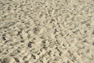 sand beach background
