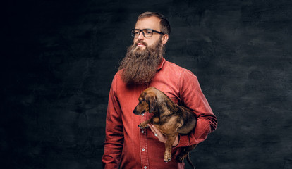 Portrait of bearded male in a red shirt holds a brown badger dog