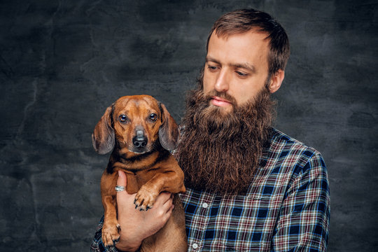 Portrait Of Brown Badger Dog And His Bearded Man Friend.