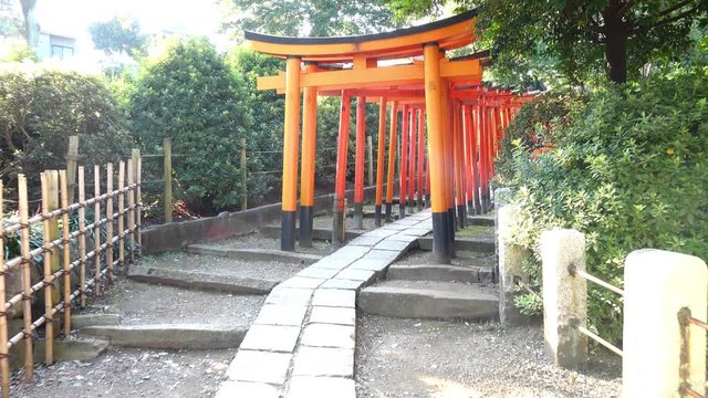 Moving footage Red Torii gates at Nezu-Jinja Shrine at Kyoto, Japan