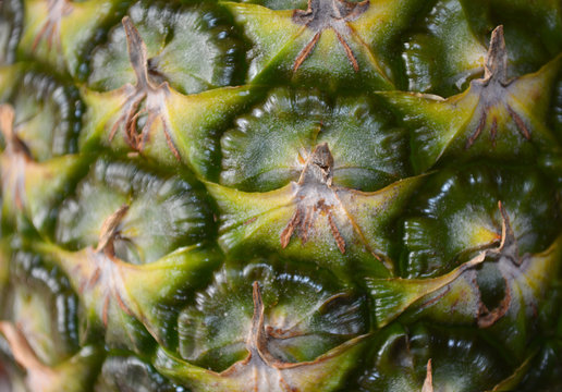 Pineapple Skin Close Up