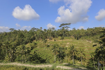 Panorama and lifestyle of Indonesia