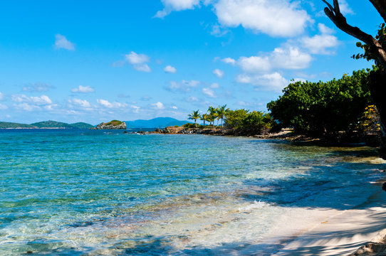 This is beautiful sapphire beach in St. Thomas, US VI Exotic Beach.