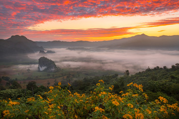 Morning fog on sunrise in the Phulanka, Phayao