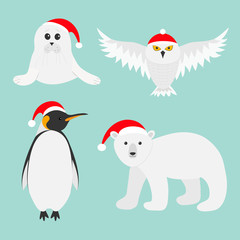 Arctic polar animal set. White bear, owl, king penguin Emperor Aptenodytes Patagonicus, Seal pup baby harp in red Santa hat. Merry Christmas card. Winter antarctica blue background Flat design.
