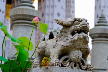 Detail of  Lion Stone statue for Thai-Chinese style  and thai art architecture in Wat Arun buddhist temple in Bangkok, Thailand.Photo taken on: 21 November , 2016
