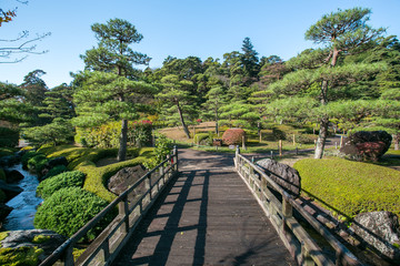 Japanese bridge in botanical garden