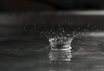 Splashing water drops. Water drop macro shot