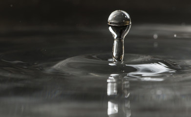 Drops macro shot. Water drop close up.