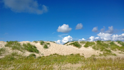 Bright Sunny sand dunes with grass in Sunny day