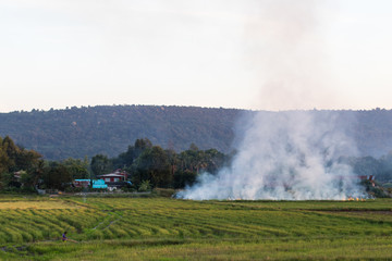 Fototapeta na wymiar Smoke stubble burning mountain.