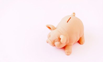 pig bank