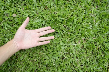 hand touching green grass field