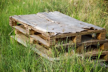 close up old wood floor on green grass