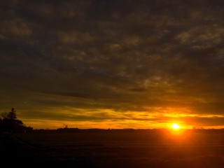 Sonnenaufgang über einem Feld