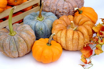 いろいろなかぼちゃ