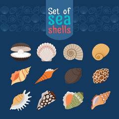 Marine shell or vector seashells icons in flat style for summer design