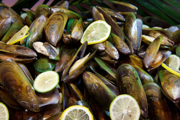 Fresh Seafood mussels