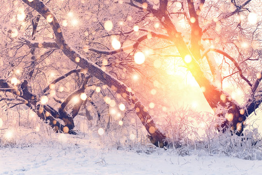Color snowflakes on snowy background