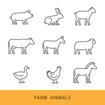 Vector line farm animals isolated on white background