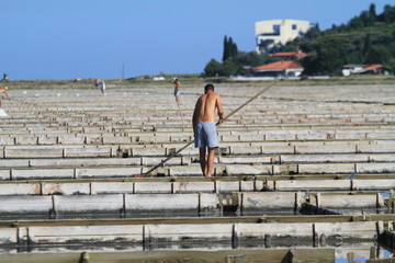 Traditional Salt harvesting