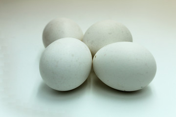 White eggs on a gray background.