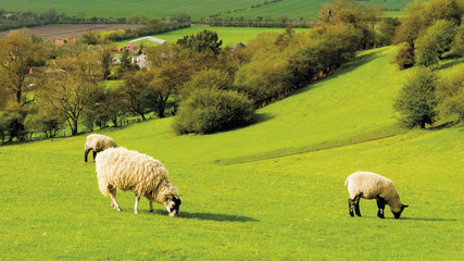 burton dassett country park warwickshire england uk