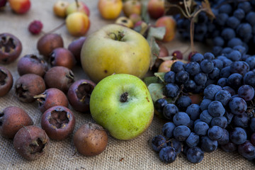 frutta d'autunno con mele e uva e nespole