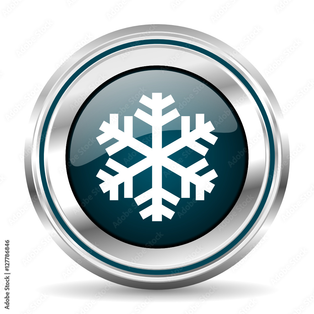 Poster winter vector icon. chrome border round web button. silver metallic pushbutton.