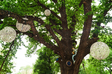 children's Park
