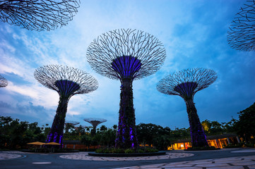 Fototapeta na wymiar MARINA BAY, SINGAPORE - Aug. 20, 2013 : Twilight sky Garden by the bay, Singapore travel landmark