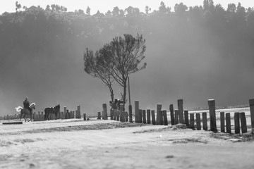 General landscape around Mt Bromo, Indonesia